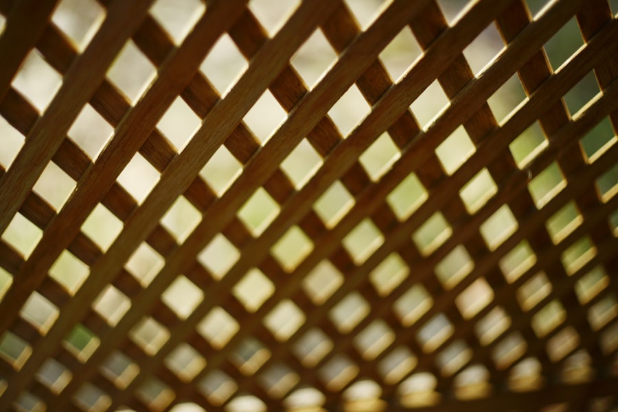 organ lattice