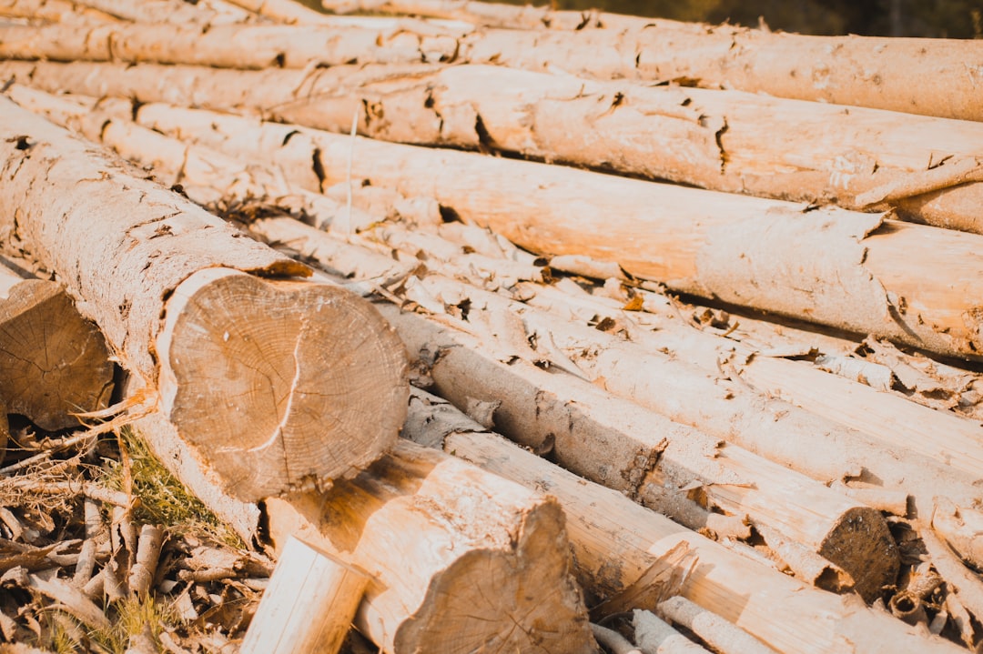 Photo maintenance logs