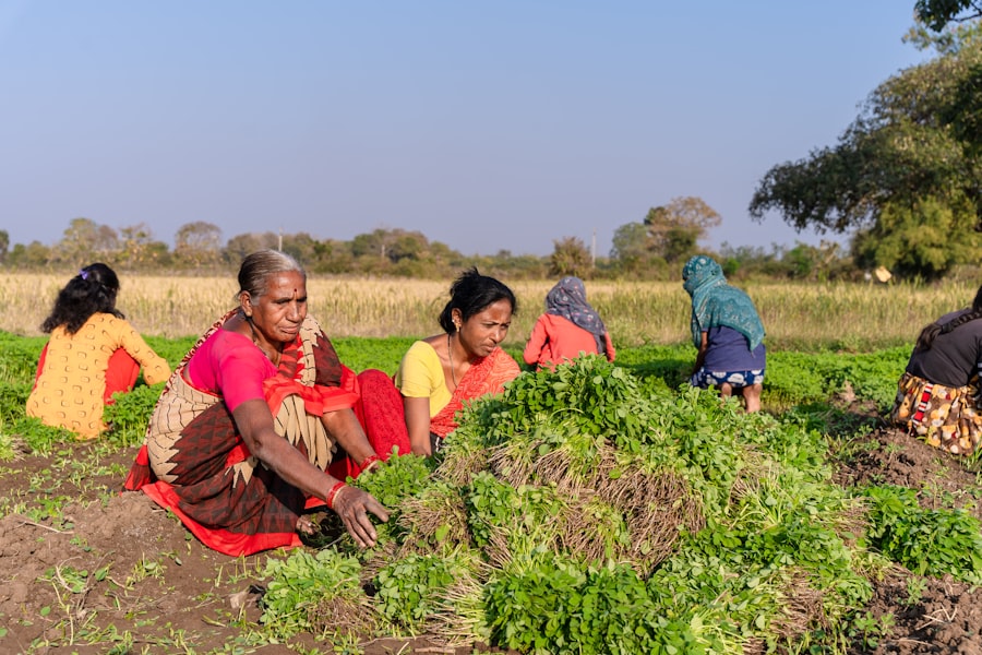 Photo Global Dissemination seeding program