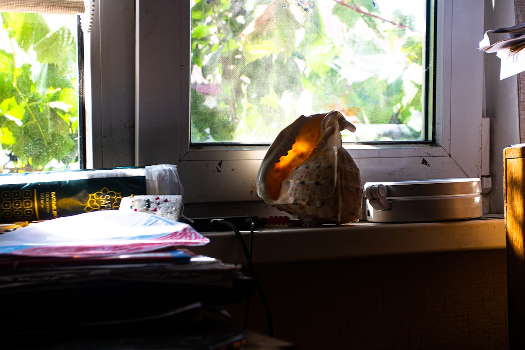 Photo alignment window