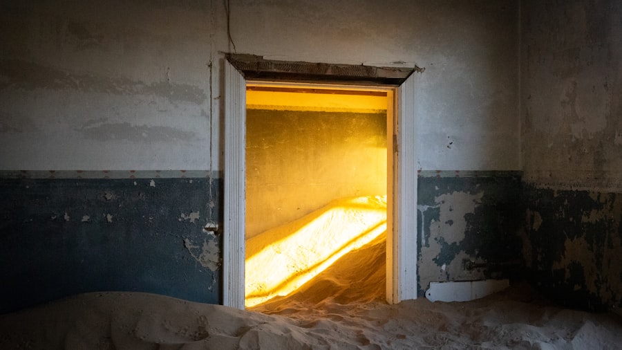 Photo Bio-Digital door failure incident