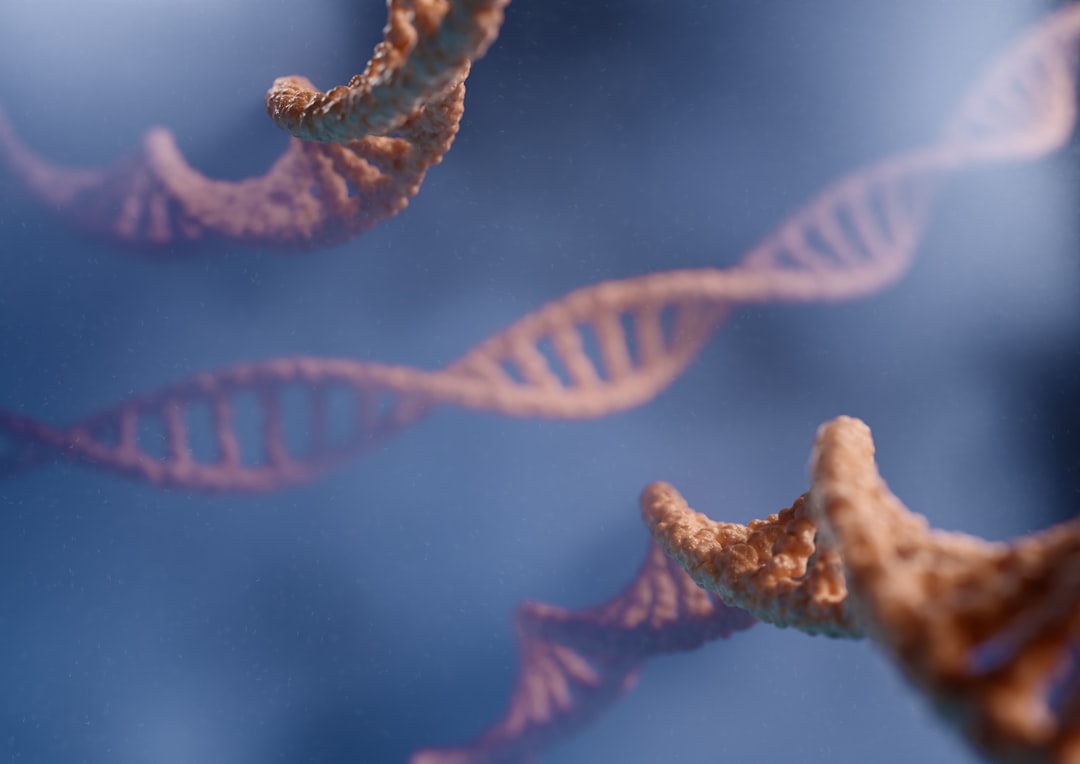 Photo DNA download