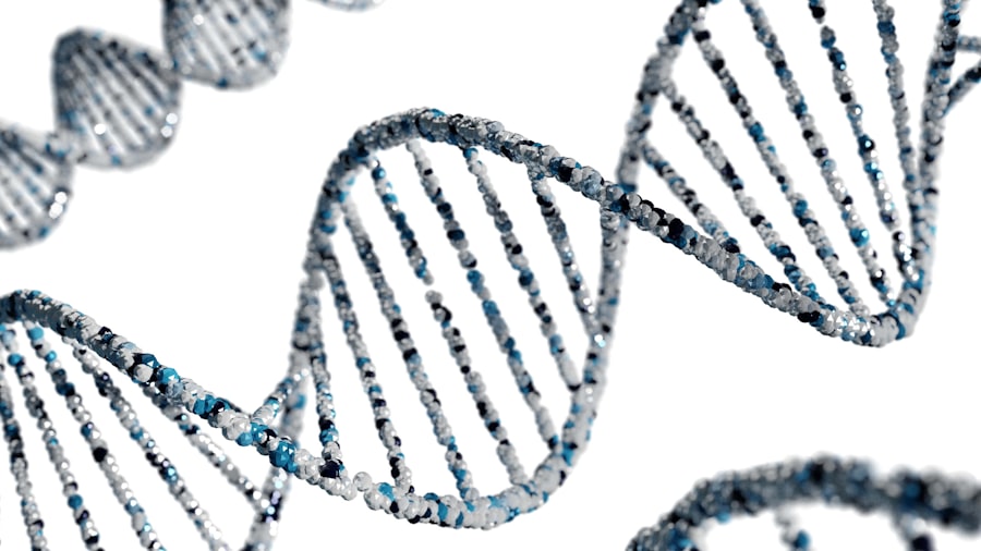 Photo DNA download
