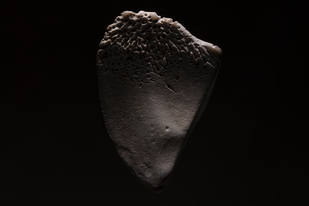 Photo tungsten carbide UFO fragment