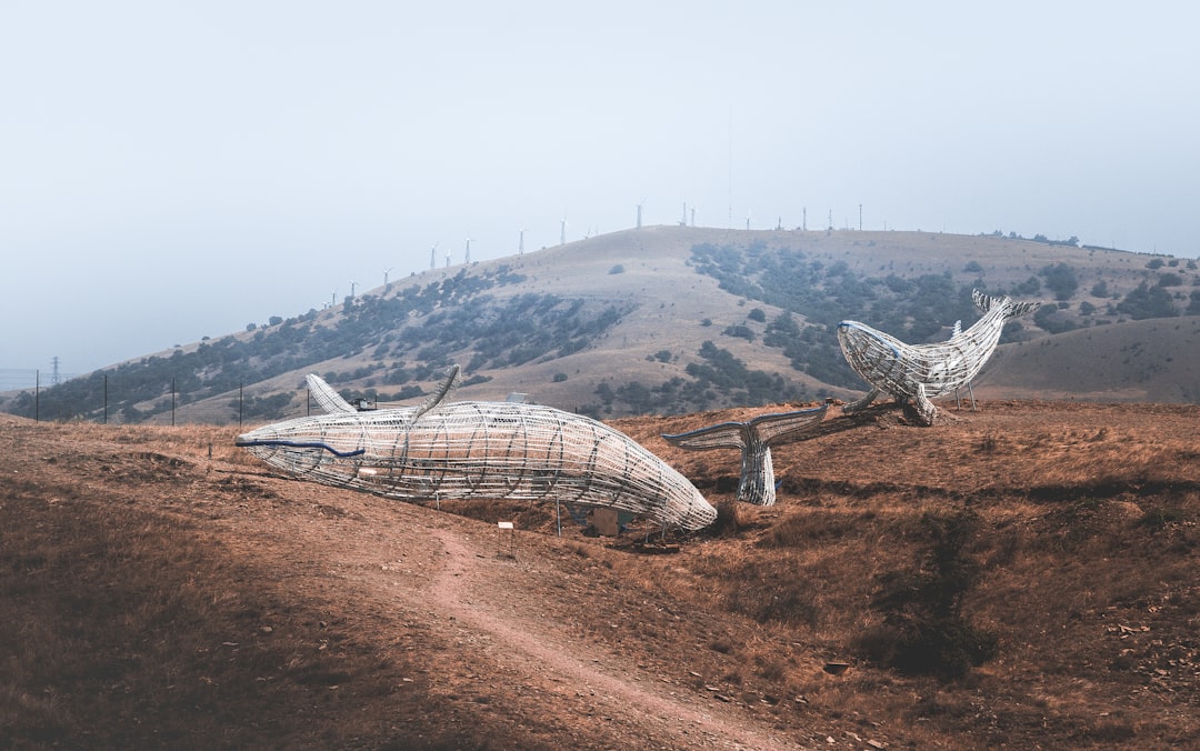 Photo ufo crashes