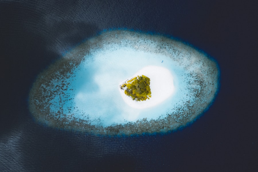 Photo island UFO artifact