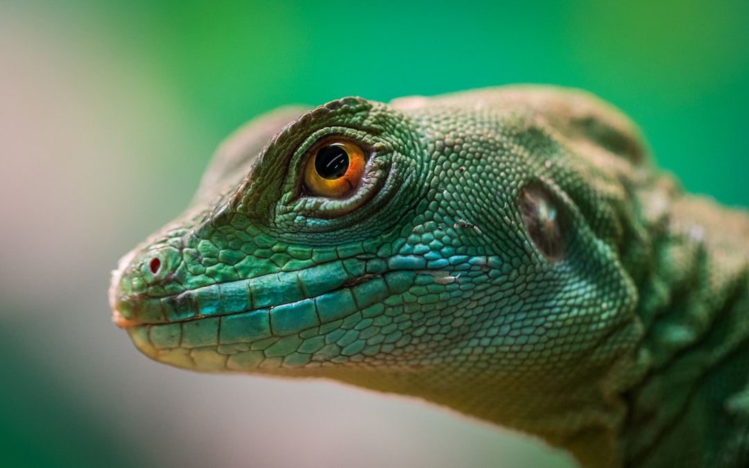 Photo reptilian control structures