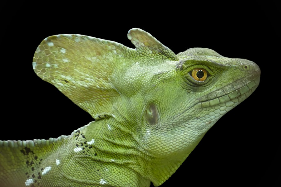 Photo reptilian matriarchal structure