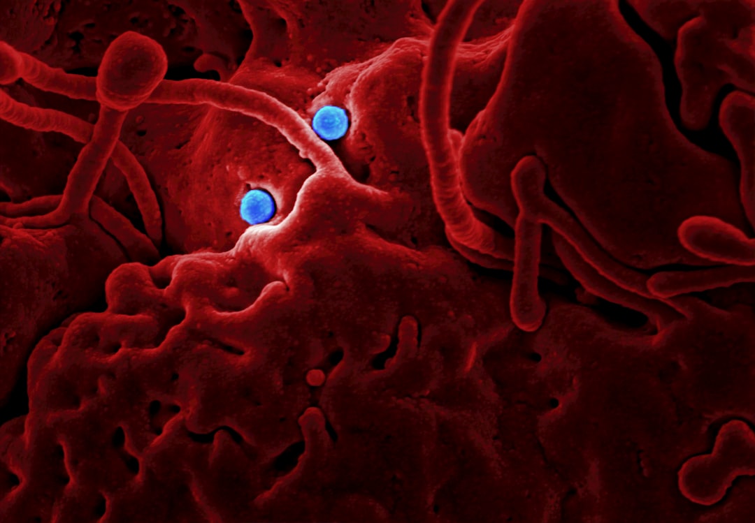 Photo blue blood families