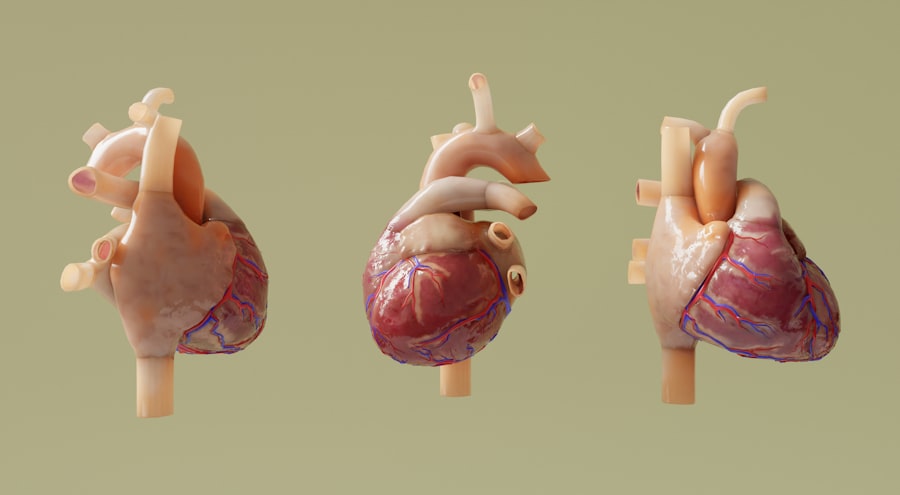 Photo nervous system
