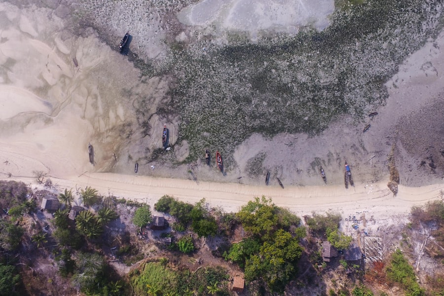 Photo Biological drones