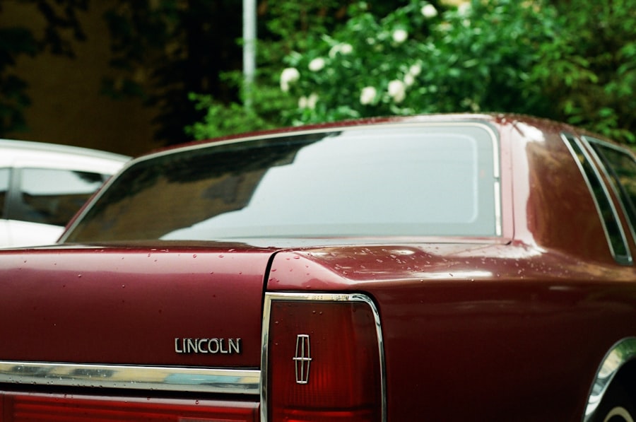 Lincoln LaPaz investigation
