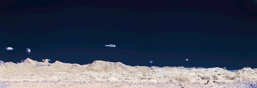 Varginha UFO evidence
