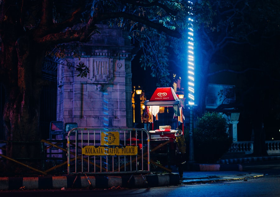 Varginha incident