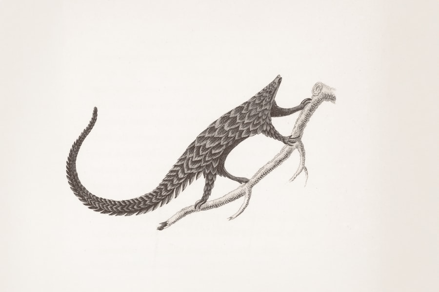 Varginha creature