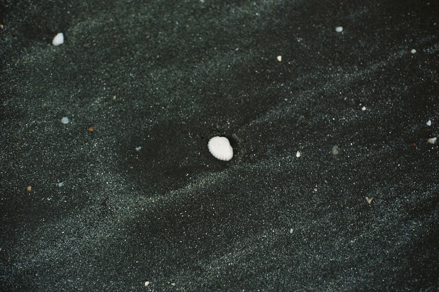 Photo Varginha UFO evidence