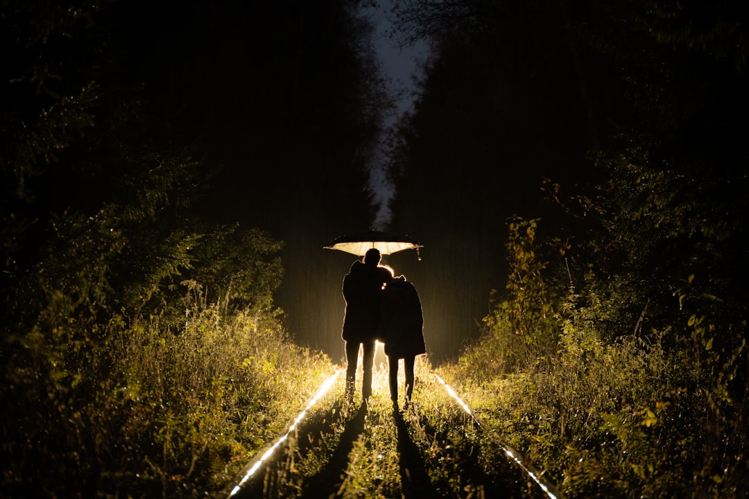 Photo UFO case investigation