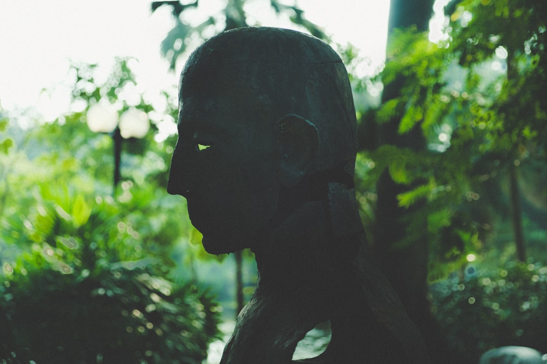 Photo Brazilian alien mystery