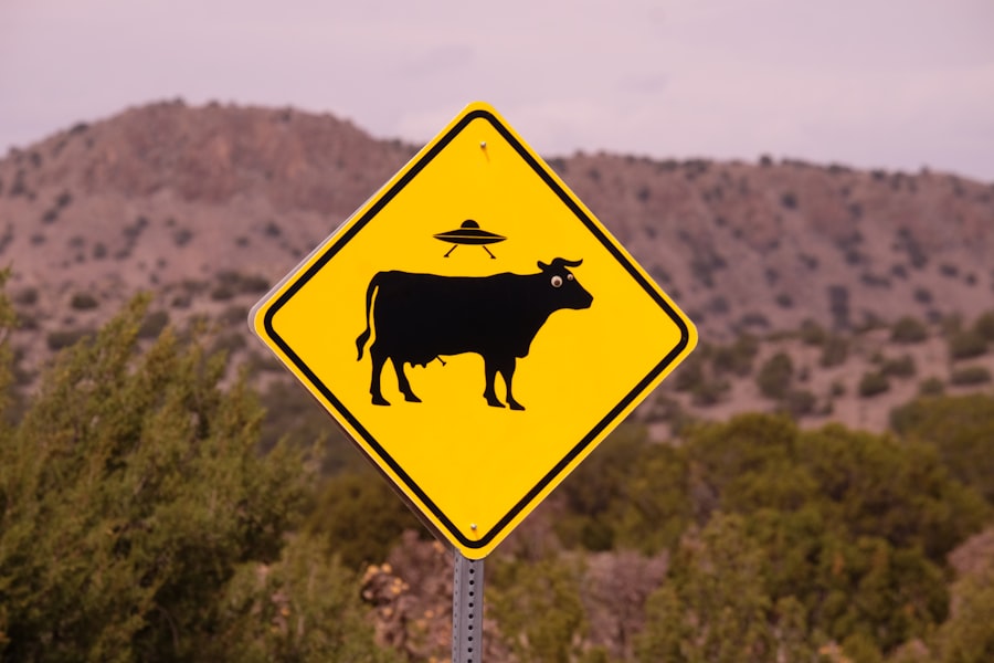 Photo UFO myths