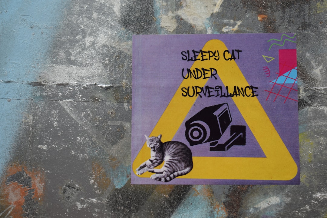 Photo surveillance theory