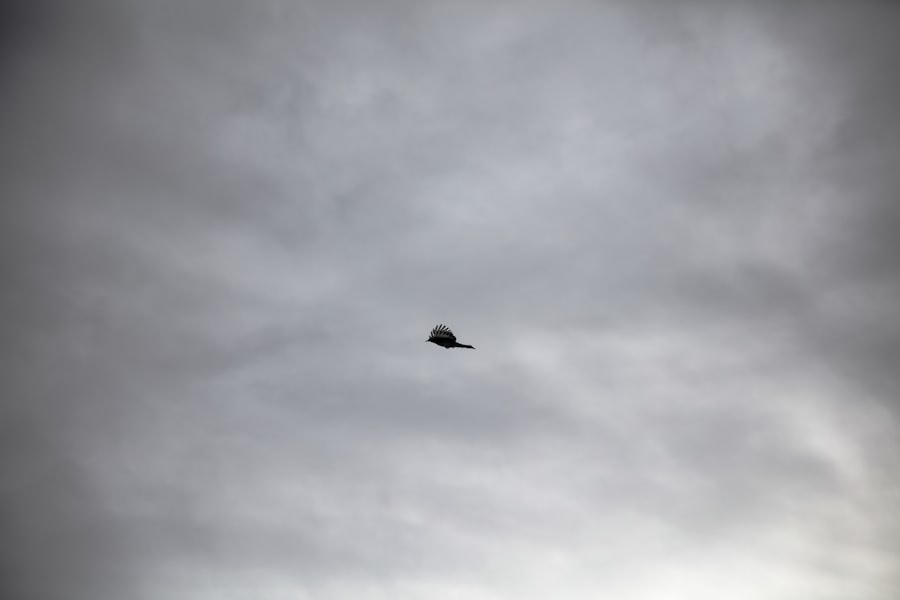UFO incident