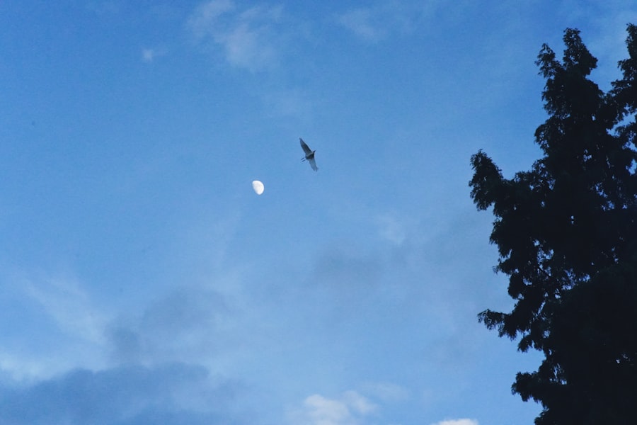 High School UFO sighting
