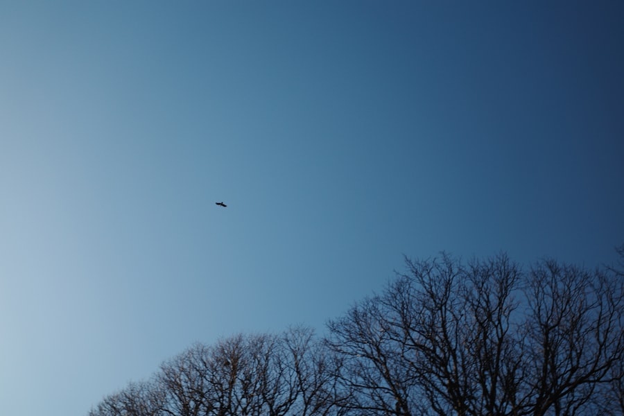 UFO sighting