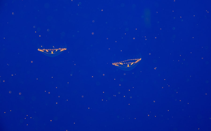 UFO sightings