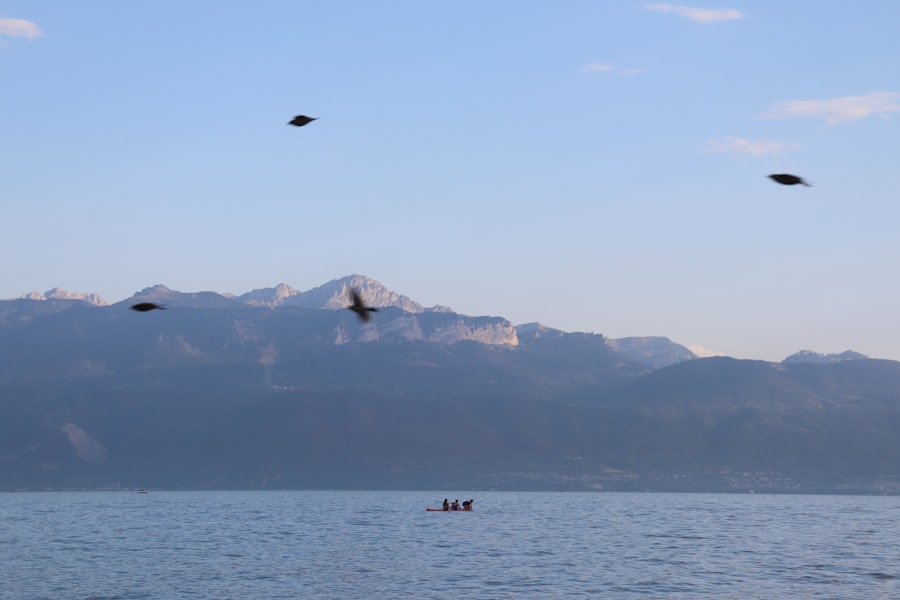 Photo UFO sighting