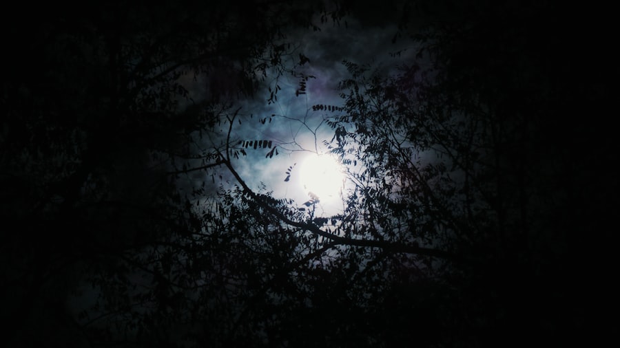Photo moon mystery documentary