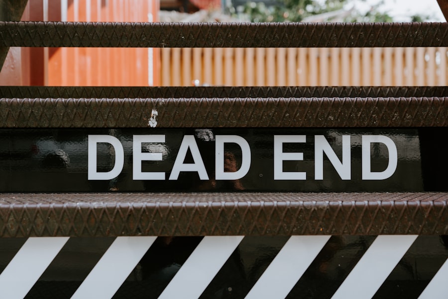 Photo near death experience theory