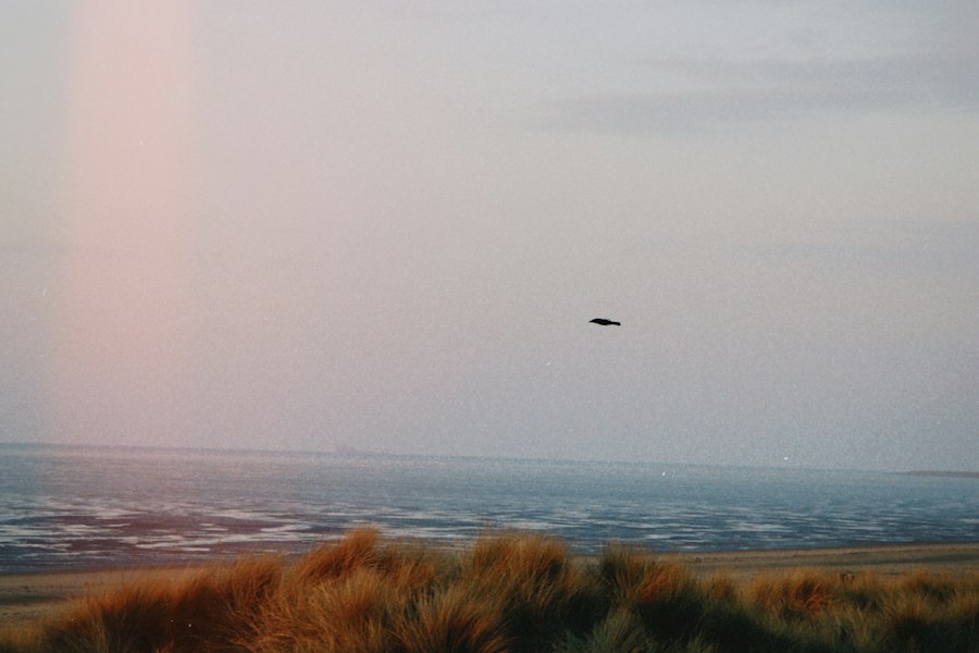 Pentyrch UFO incident
