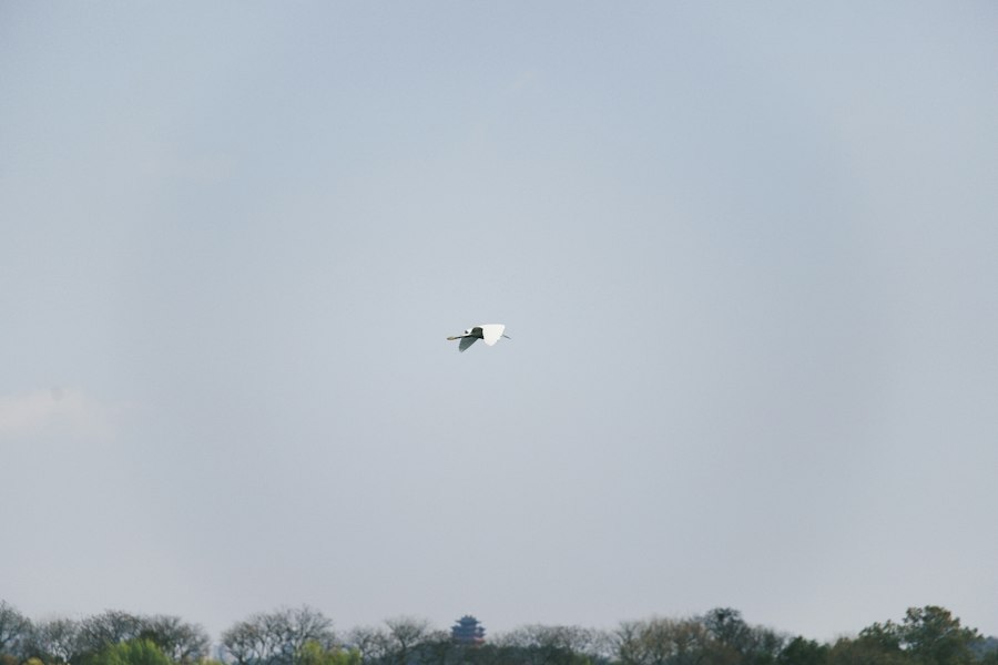 Pentyrch UFO incident 2016