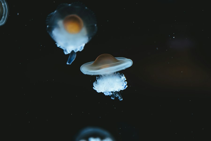 UFO control system hypothesis