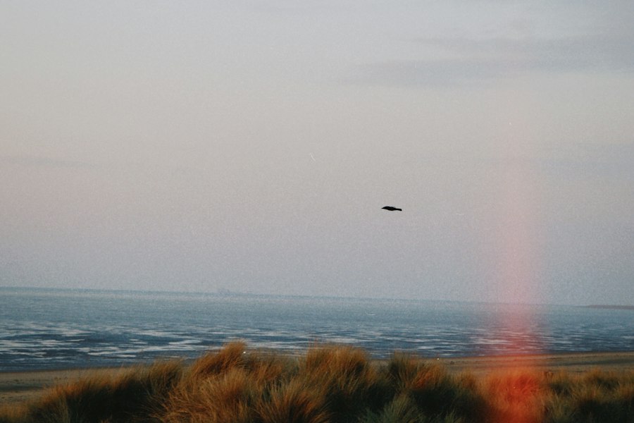 UFO witnesses
