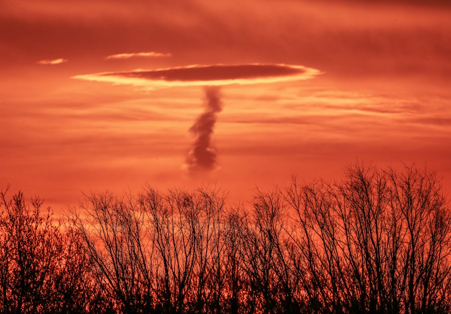 Photo UFO witnesses