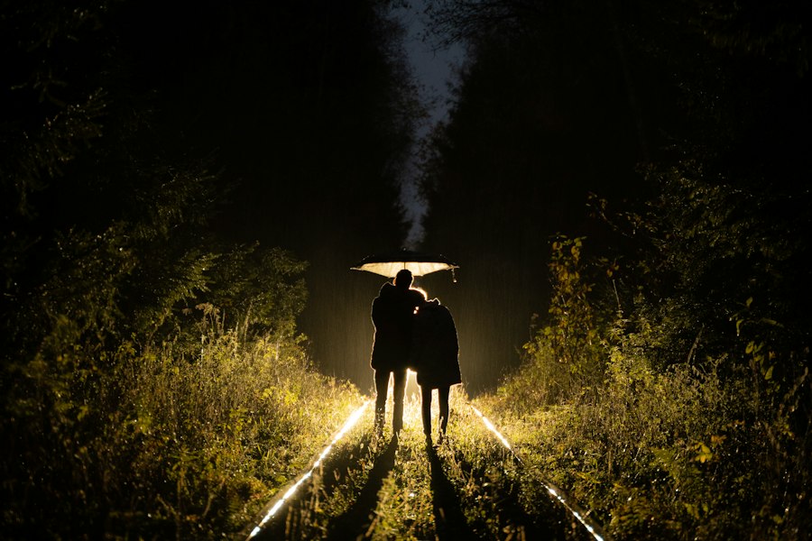Photo UFO witnesses