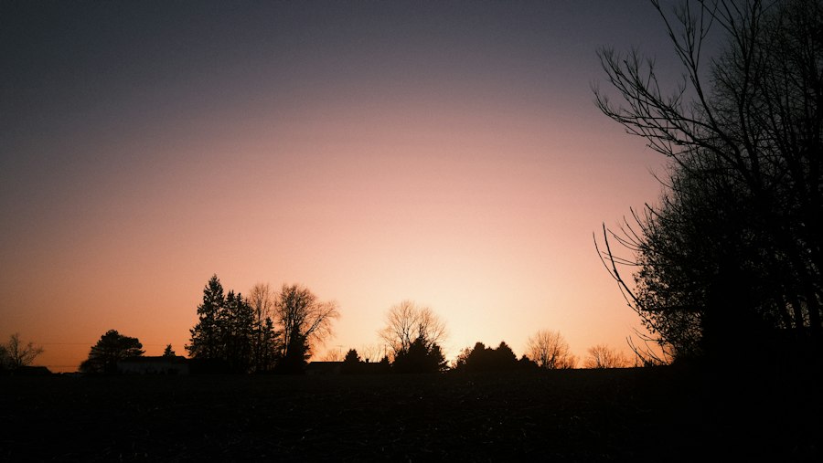 Photo March 8 1994 Michigan UFO sighting