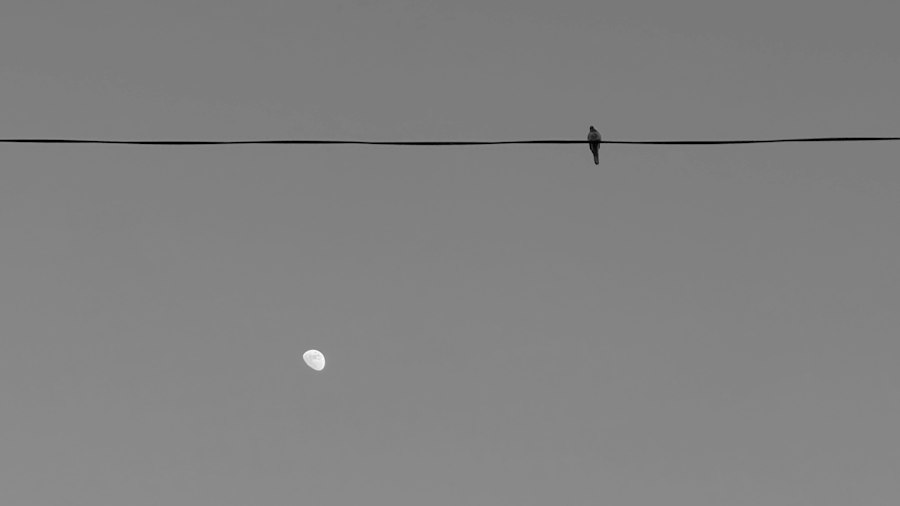 Photo ufo behind utility pole occlusion