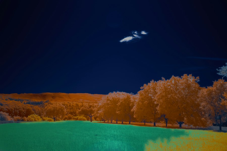 Photo Dash 8 UFO infrared footage