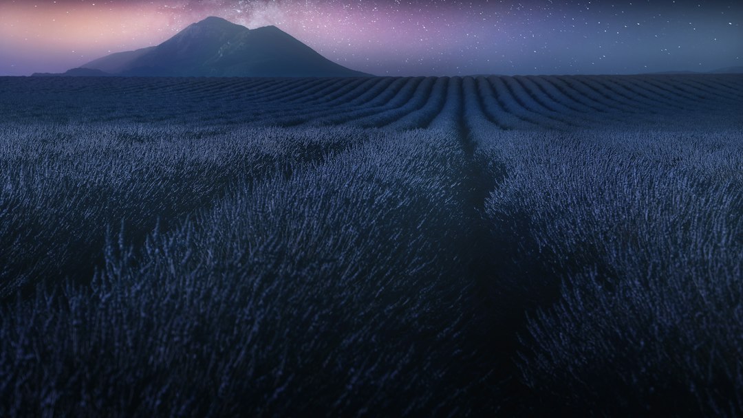 Photo Valensole UFO documentary
